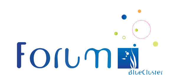 Logo of Forum Blue Cluster 2014